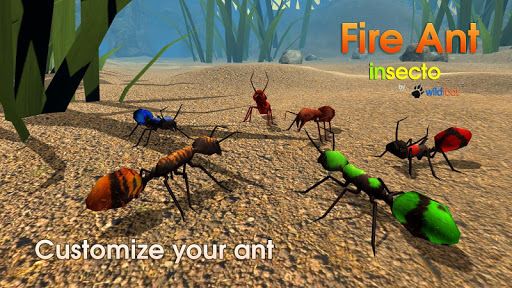 Simulador imagen Hormiga de fuego