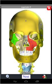 Anatomy Quiz Free image