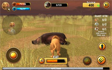 Wild Lion Simulator 3D image