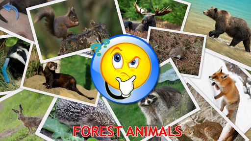 Animales para niños - Imagen de tarjetas didácticas