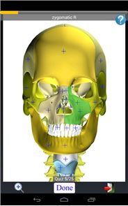 Anatomy Quiz Free image