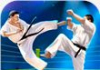 La lucha contra el karate tigre 3D – 2