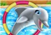 Mi Espectáculo de delfines