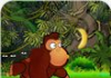 mono de la selva 2