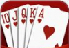 Joyspade Texas Hold'em Poker