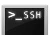 SSH enraizada / SFTP Daemon