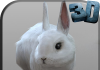 Descargar Simulador de conejo real para PC / Simulador de conejo real en PC