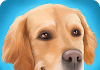 DogHotel Lite: Mi Embarque de perros