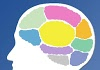 teste estrutura cerebral