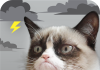 Grumpy Cat Weather