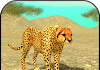 Selvagem Chita Sim 3D