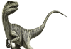 Velociraptor Widget/Stickers