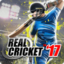 Cricket real ™ 17