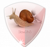 VPN Over DNS Tunnel : SlowDNS