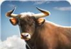 Bull Simulador 3D