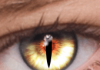 FoxEyes – Change Eye Color by Real Anime Style
