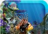 3D Aquarium Live Wallpaper HD