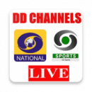 Canales de TV en vivo DD DD DD Nacional de Deportes Cricket