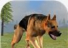 Wild Dog Survival Simulator