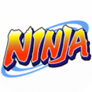 Ninja: Héroe del pueblo