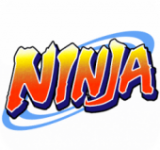 Ninja: Héroe del pueblo