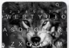 Wild Wolf Keyboard Theme