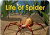 La vida de la araña