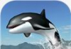 Orca Survival Simulator
