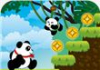 Jungle Run Panda