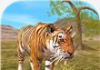 Tigre Aventura simulador 3D