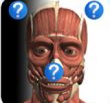 Anatomía Quiz Free