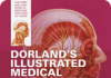 Dorland's Illustrated Medical Dictionary