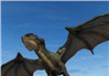 Flying Fury Dragon Simulator