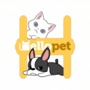 Hellopet – Gatos lindos, perros y otros animales únicos