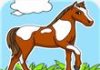 Horse Coloring Book