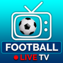 Fútbol en vivo en la TV