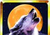 Slots™ Wolf FREE Slot Machines