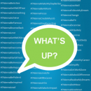 Download What’s Up? for PC/What’s Up? on PC