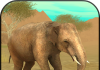 Baixar Wild Elephant Sim 3D para PC / Wild Elephant Sim 3D no PC