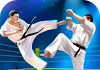 Karate Fighting Tiger 3D – 2