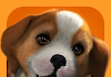 PS Vita Mascotas: cachorro Parlour
