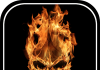 Fire Live Wallpaper