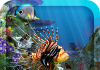 3D Aquarium Live Wallpaper HD