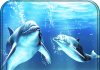 Dolphins Live Wallpaper