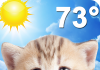 Weather Kitty