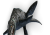 Pliosaurus Widget / Pegatinas