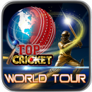 Top Cricket World Tour