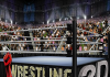 Wrestling Revolution 3D