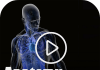 Anatomía médica Vídeos