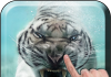 Diving Tiger Live Wallpaper